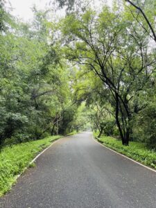Quiet Pockets of Kilimani