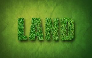 Buying Land in Kenya: 10 Essential Steps to Avoid Costly Mistakes 3 Buying Land in Kenya