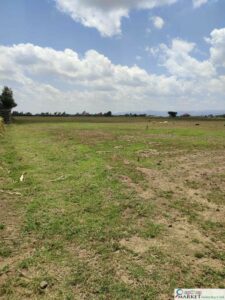 Buying Land in Kenya: 10 Essential Steps to Avoid Costly Mistakes 4 Buying Land in Kenya